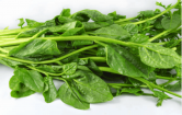 Fresh Malabar Clibing Spinach